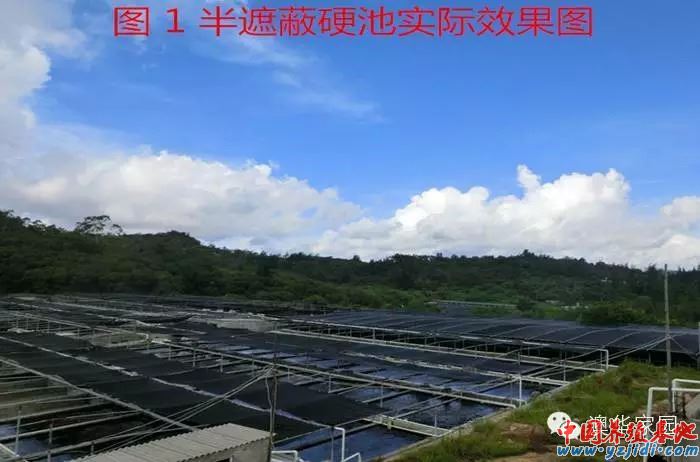 中國養殖基地 yzjidi.com