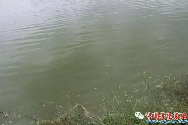 中國養殖基地 yzjidi.com