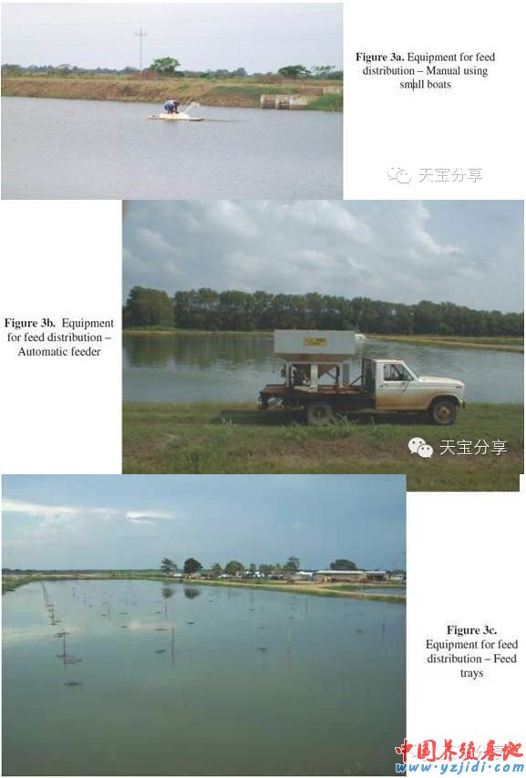 中國養殖基地 yzjidi.com