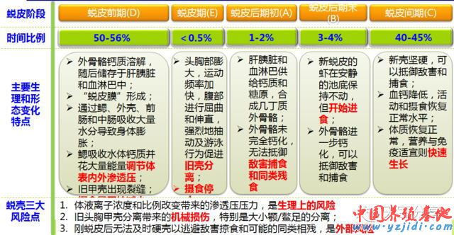 中國養殖基地 yzjidi.com