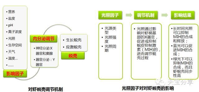 中國養殖基地 yzjidi.com