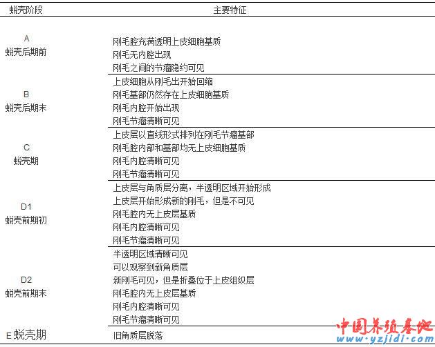 中國養殖基地 yzjidi.com