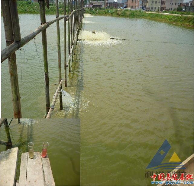 中國養殖基地 yzjidi.com