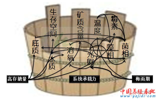 中國養殖基地 yzjidi.com