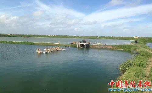 中國養殖基地 yzjidi.com