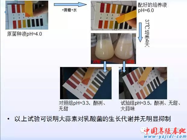 中國養殖基地 yzjidi.com