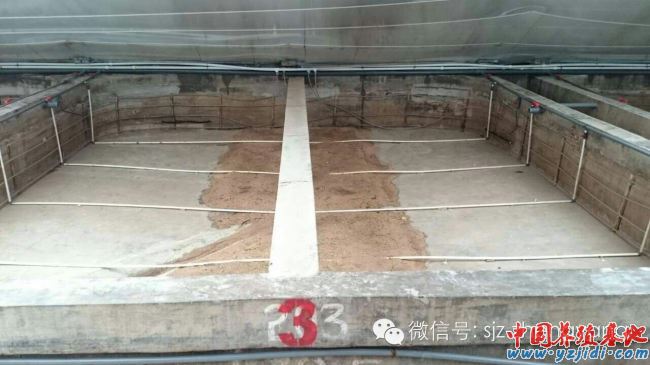 中國養殖基地 yzjidi.com