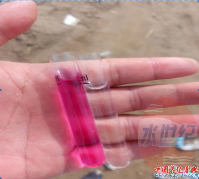 中國養殖基地 yzjidi.com