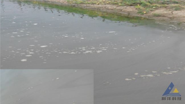 中國養殖基地 yzjidi.com