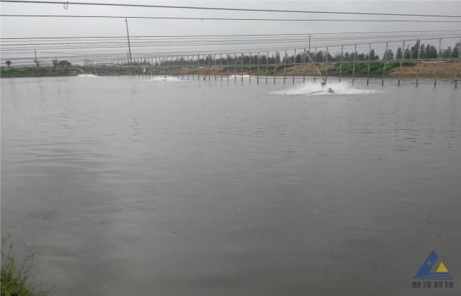 中國養殖基地 yzjidi.com