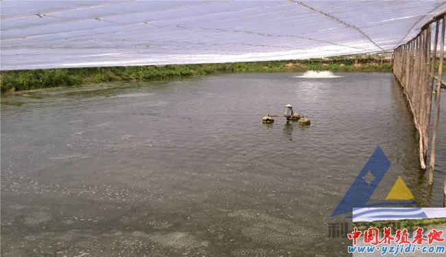 中國養殖基地 yzjidi.com
