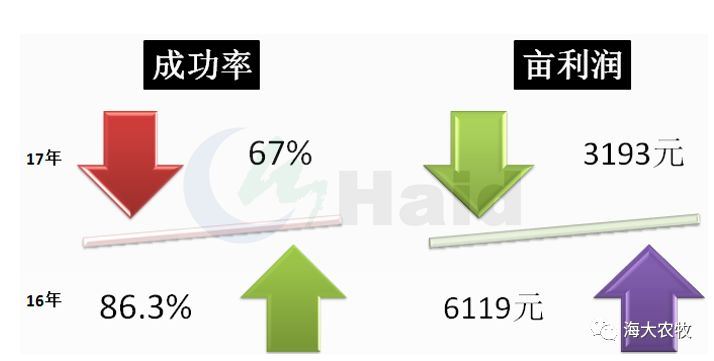 中國養殖基地 yzjidi.com