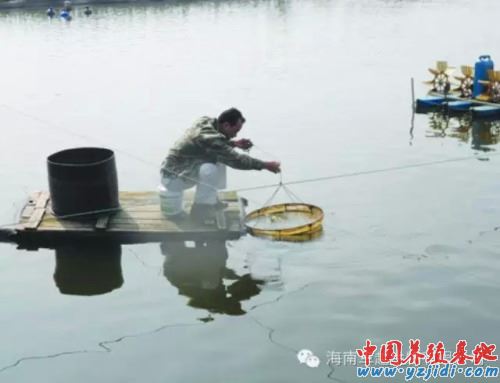 中國養殖基地 yzjidi.com