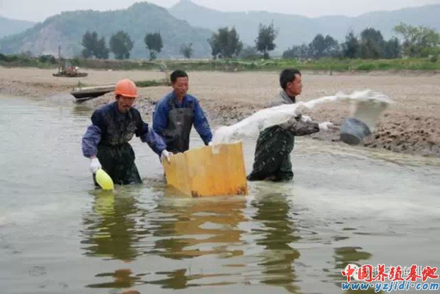 中國養殖基地 yzjidi.com