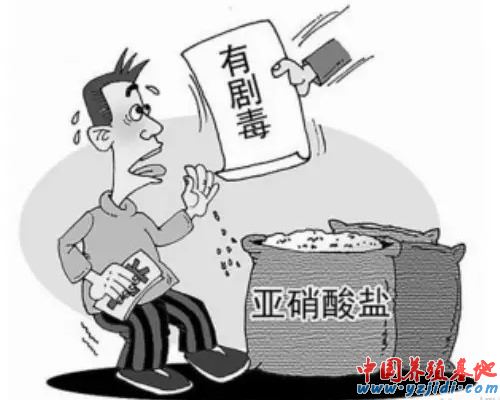 中國養殖基地 yzjidi.com