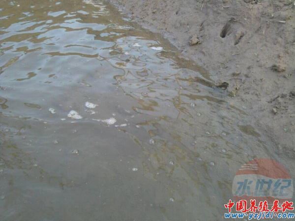 中國養殖基地 yzjidi.com