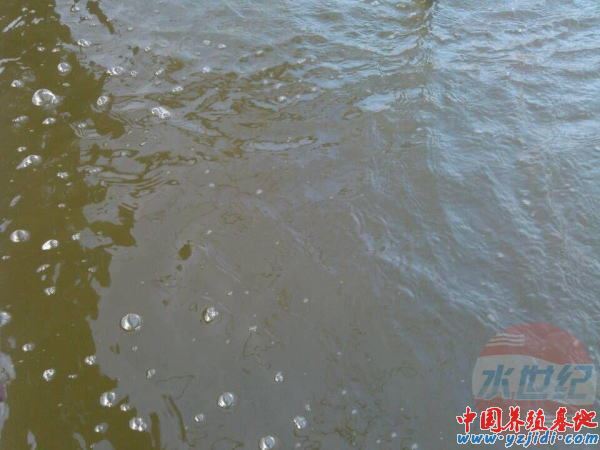 中國養殖基地 yzjidi.com