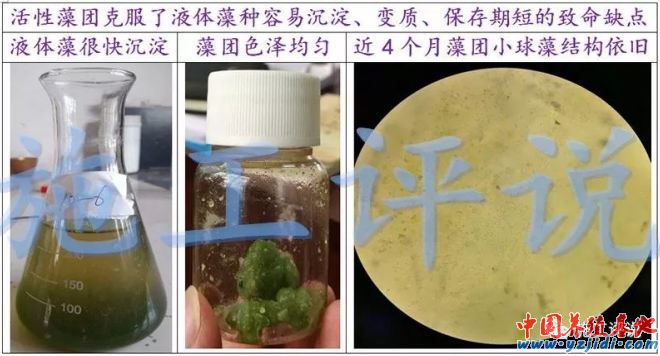 中國養殖基地 yzjidi.com