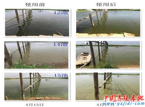 中國養殖基地 yzjidi.com