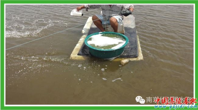 中國養殖基地 yzjidi.com