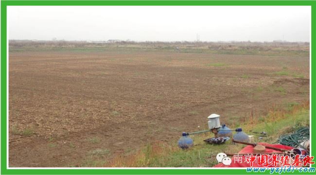 中國養殖基地 yzjidi.com