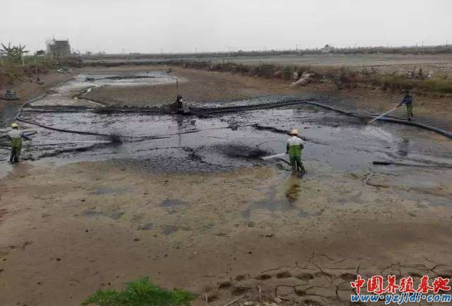 中國養殖基地 yzjidi.com