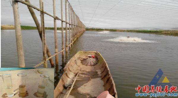 中國養殖基地 yzjidi.com