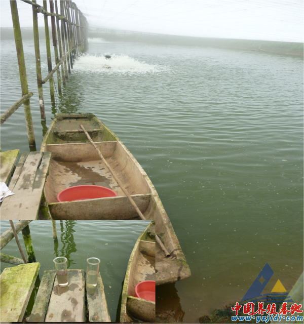 中國養殖基地 yzjidi.com