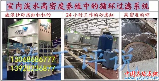 中國養殖基地 yzjidi.com