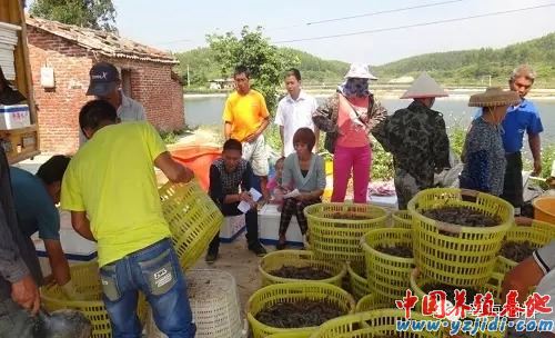 中國養殖基地 yzjidi.com