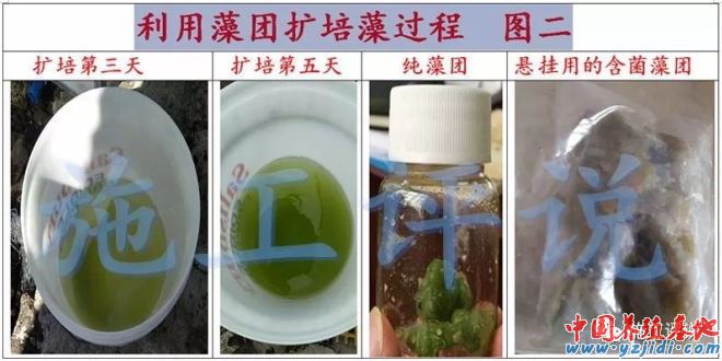 中國養殖基地 yzjidi.com