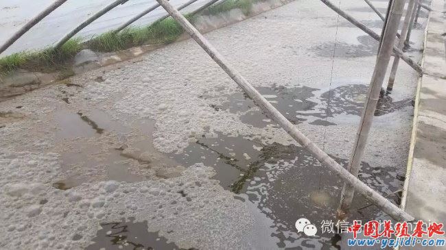 中國養殖基地 yzjidi.com