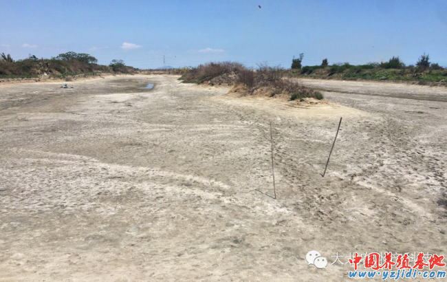 中國養殖基地 yzjidi.com
