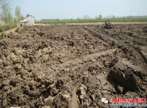 中國養殖基地 yzjidi.com