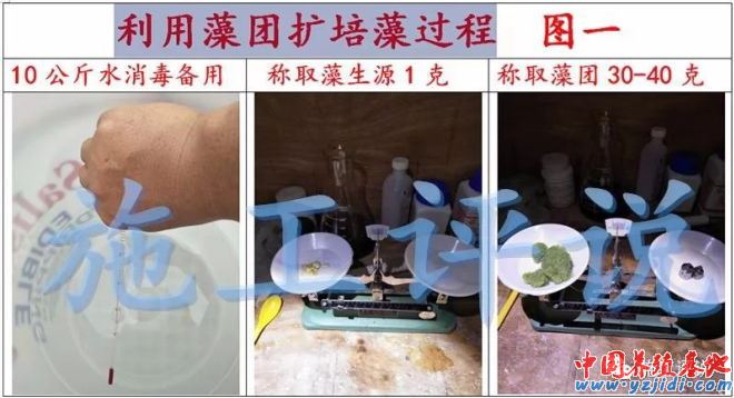 中國養殖基地 yzjidi.com