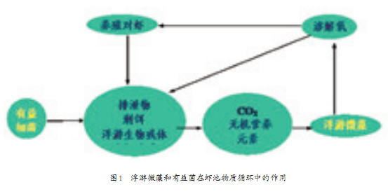 中國養殖基地 yzjidi.com