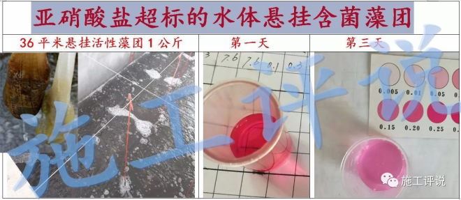 中國養殖基地 yzjidi.com