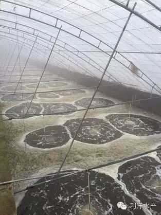 中國養殖基地 yzjidi.com