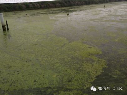 中國養殖基地 yzjidi.com
