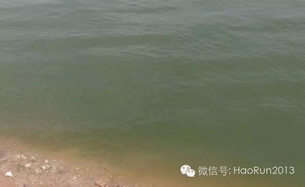 中國養殖基地 yzjidi.com