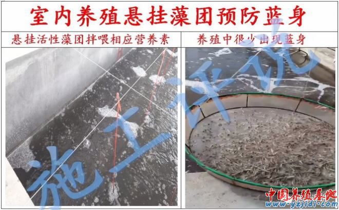 中國養殖基地 yzjidi.com