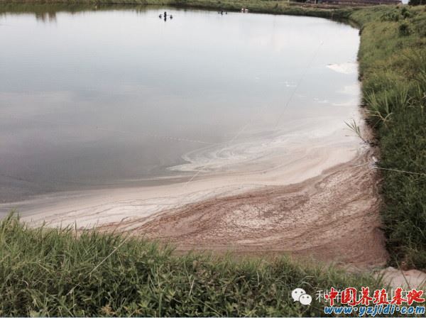 中國養殖基地 yzjidi.com