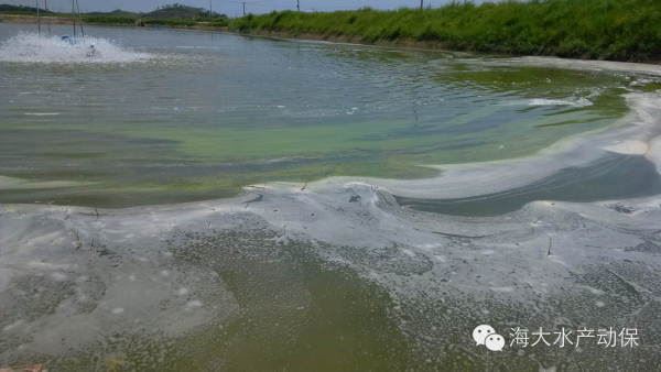 中國養殖基地 yzjidi.com
