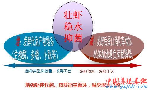 中國養殖基地 yzjidi.com