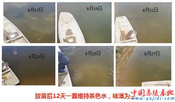 中國養殖基地 yzjidi.com