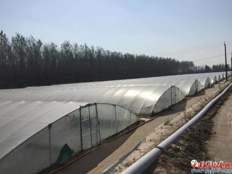 中國養殖基地 yzjidi.com