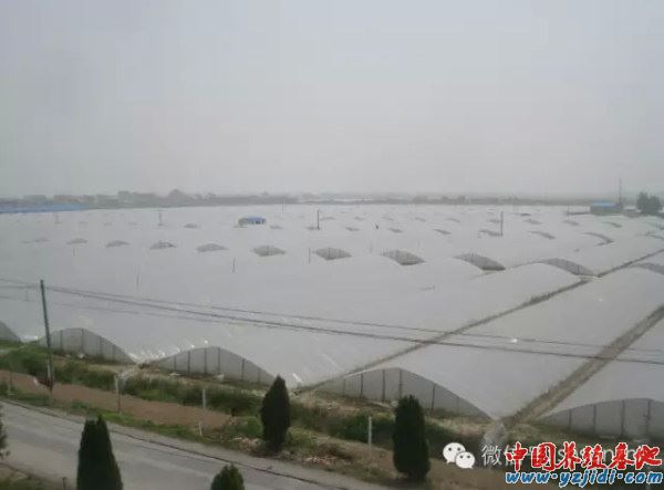 中國養殖基地 yzjidi.com