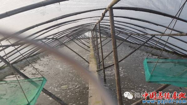 中國養殖基地 yzjidi.com