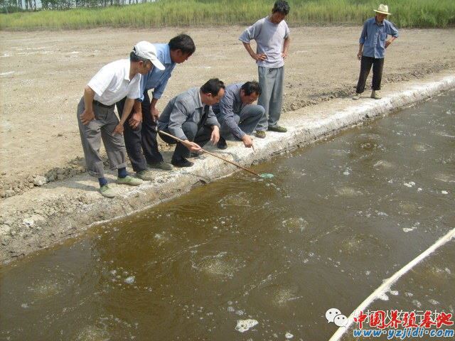 中國養殖基地 yzjidi.com