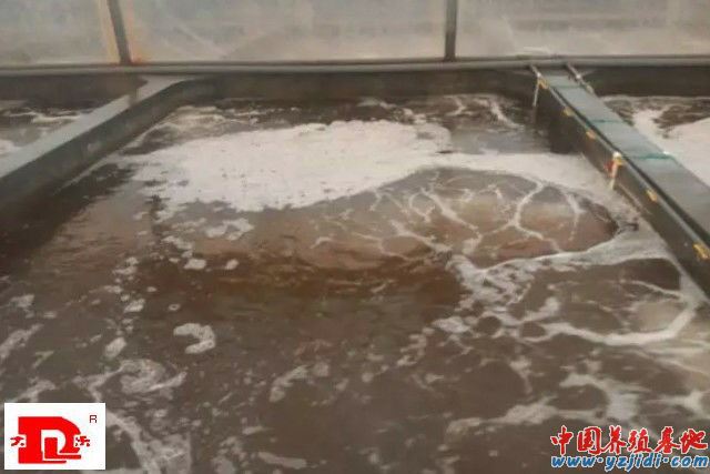 中國養殖基地 yzjidi.com